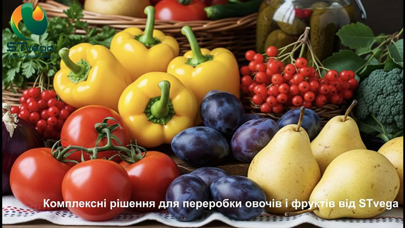 Від індивідуальних машин до комплексних ліній - STvega
