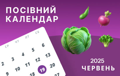 Червень 2025: посівний календар городника
