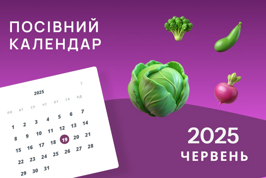 Червень 2025: посівний календар городника