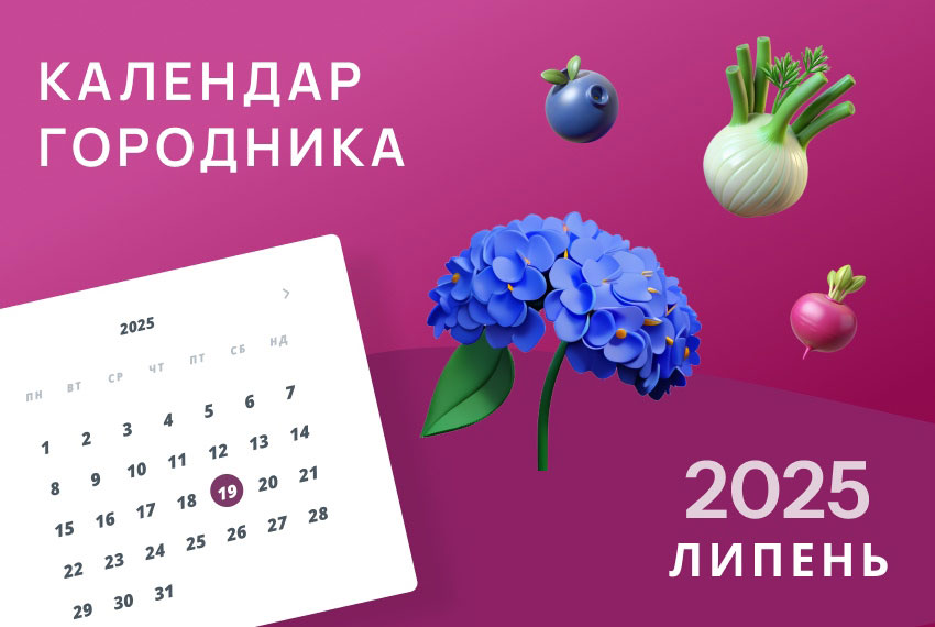Липень 2025: Посівний календар городника