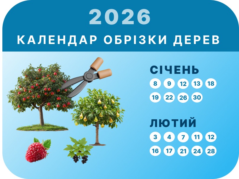 Січень – Лютий