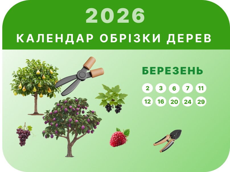 Березень — головний місяць обрізки