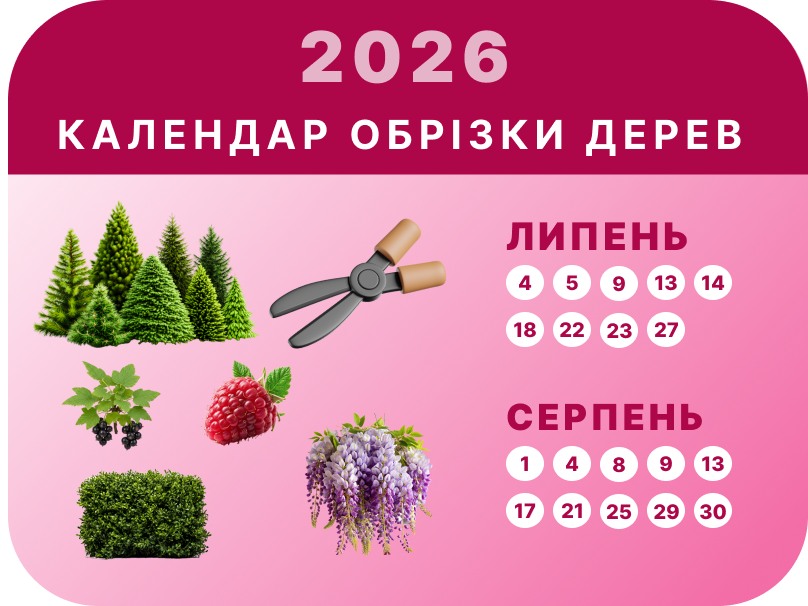 Липень – Серпень