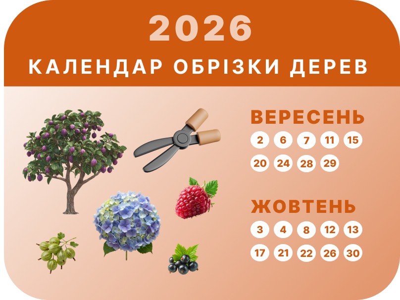 Вересень – Жовтень