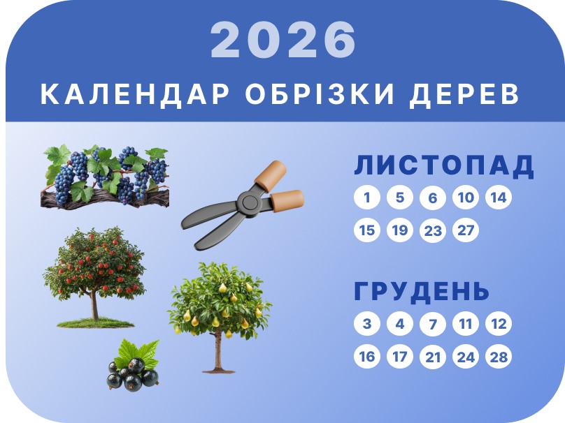 Листопад – Грудень