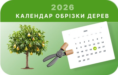 Календар обрізки дерев на 2026 рік