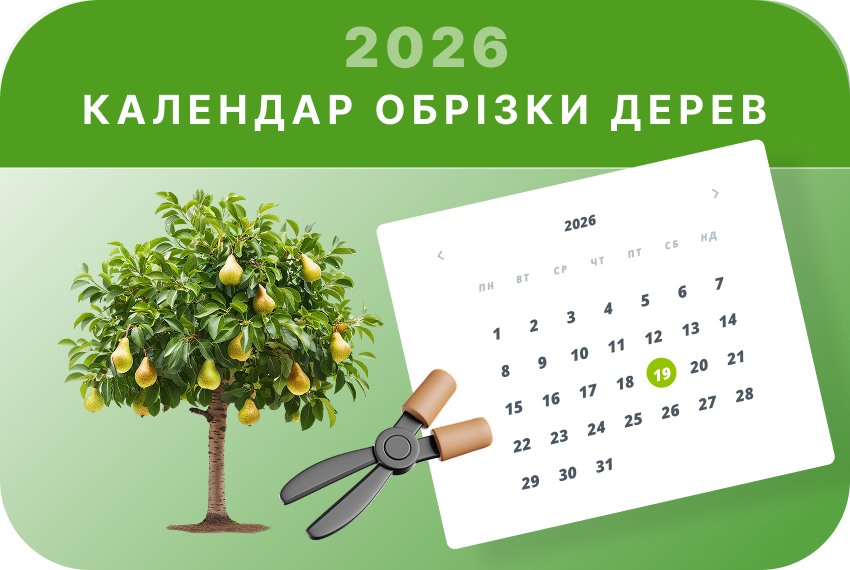Як обрізати дерева у 2026 році: сприятливі дні Як обрізати дерева у 2026 році: сприятливі дні