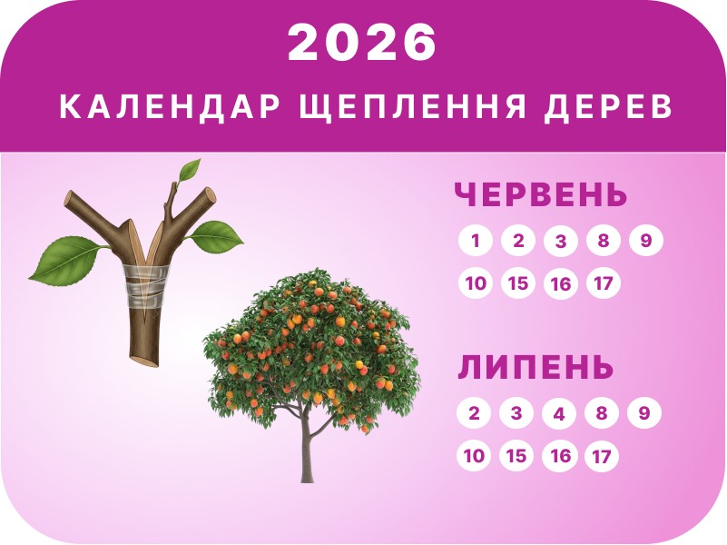 Червень – Липень