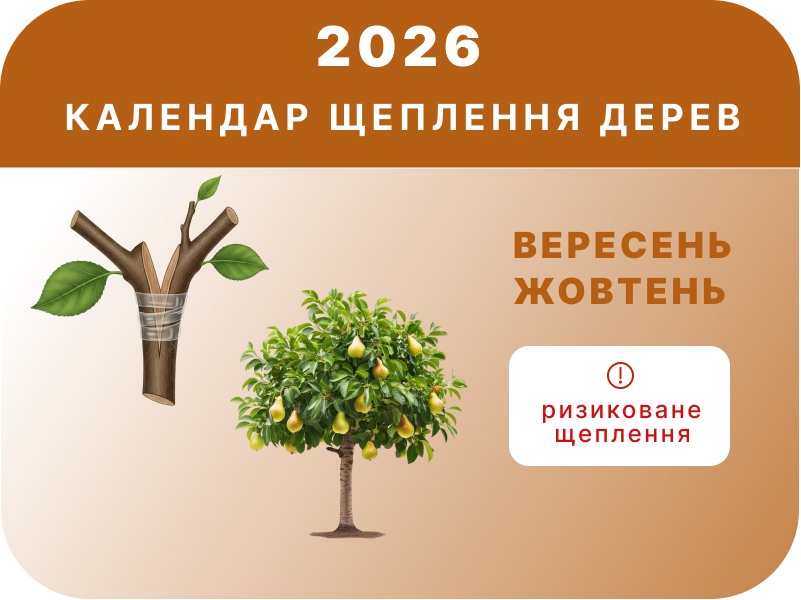 Вересень – Жовтень