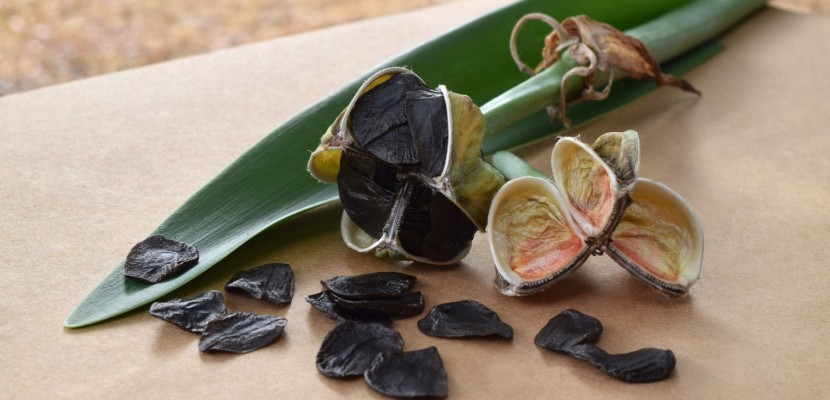 Амариліс: як розмножити з насіння Амариліс: як розмножити з насіння