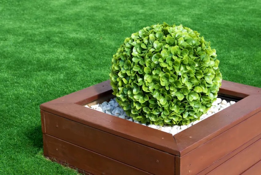 Штучні рослини на ділянці: як і коли використовувати?