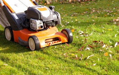 Як підстригати газон перед зимою? Відповідь експертів