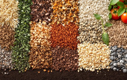 9 видів мульчі: як обрати найкращий матеріал