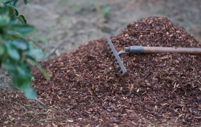 Чи Варто Мульчувати Перед Зимою? Ось Чому Досвідчений Садівник Каже, Що Так