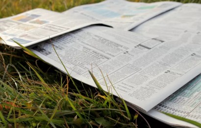 5 способів використати старі газети в саду