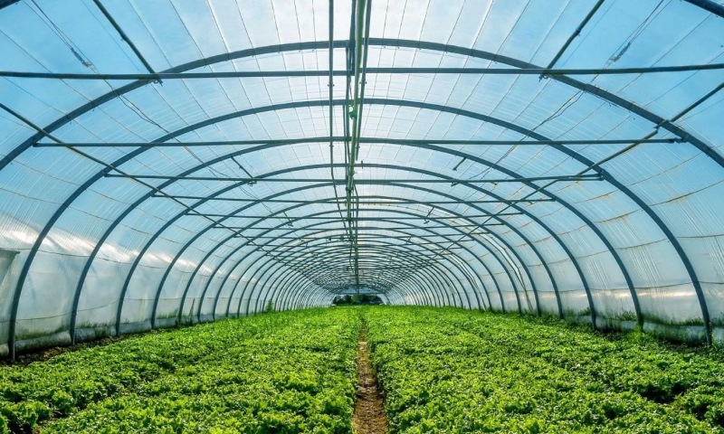 Де купити плівку для теплиць