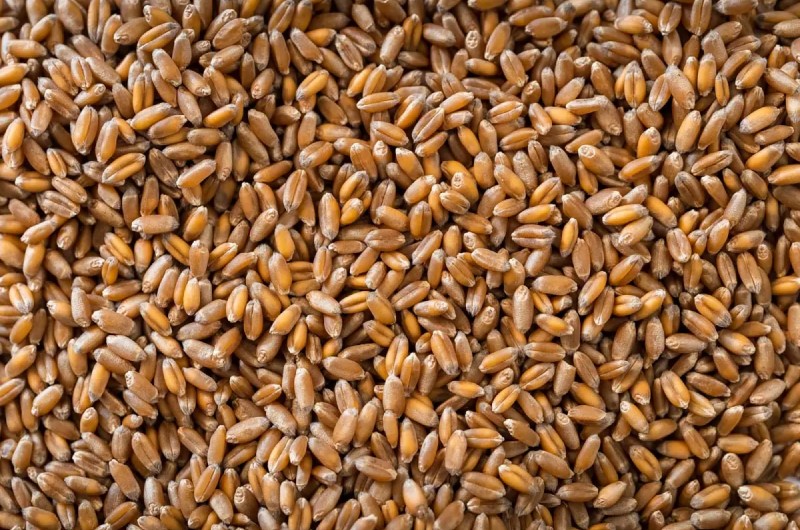 1. Генне редагування (CRISPR)