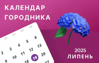 Липень 2025: Посівний календар городника