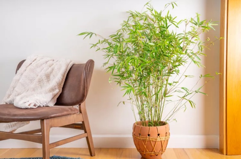 Контейнер та розмір