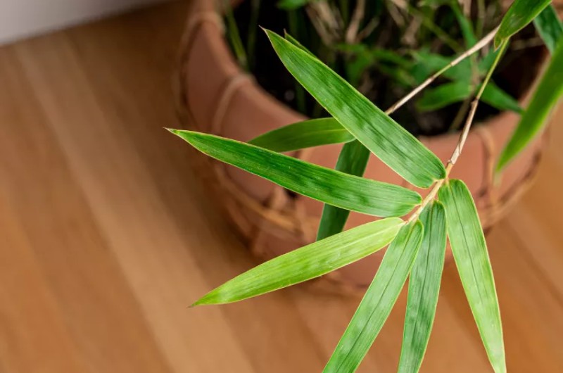 Температура та вологість