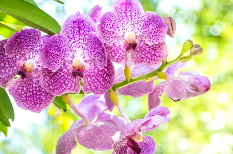 Освітлення