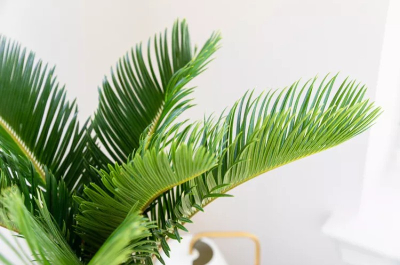 Температура та вологість