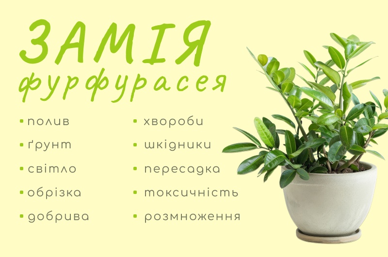 Характеристики